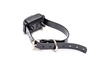 Electric Dog Fence Installation