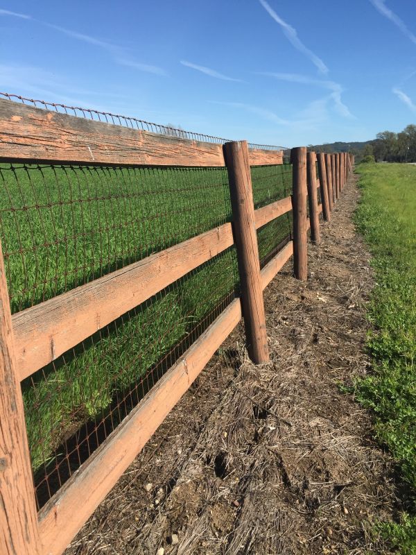 Ranch Style Fence